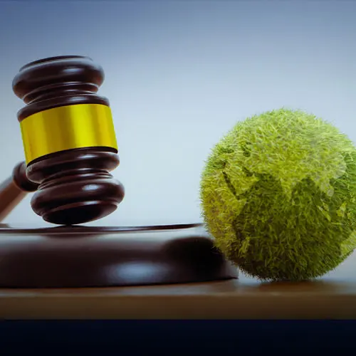 environmental-policy-and-sustainability-mob