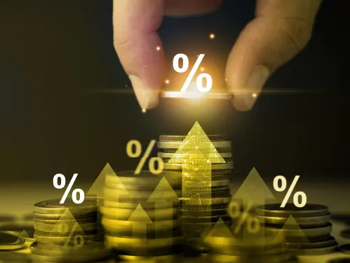 profit-dividend-distribution